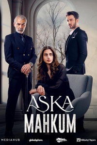 Заключенный любви